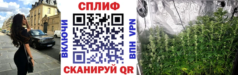 Купить  Щучье  МАРИХУАНА OG Kush 